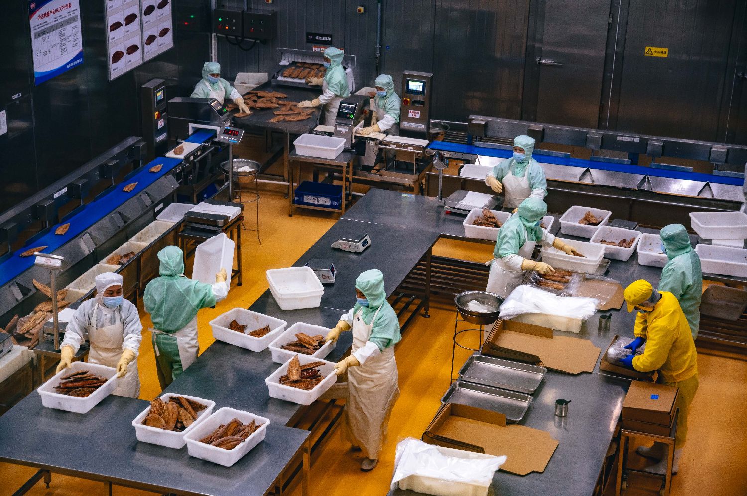 （经济观察）中印尼“两国双园”建设提速