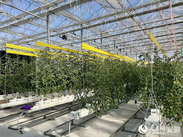 人保服务,人保护你周全_2025年无毒生物农药行业深度分析：现状剖析、前景展望与趋势洞察