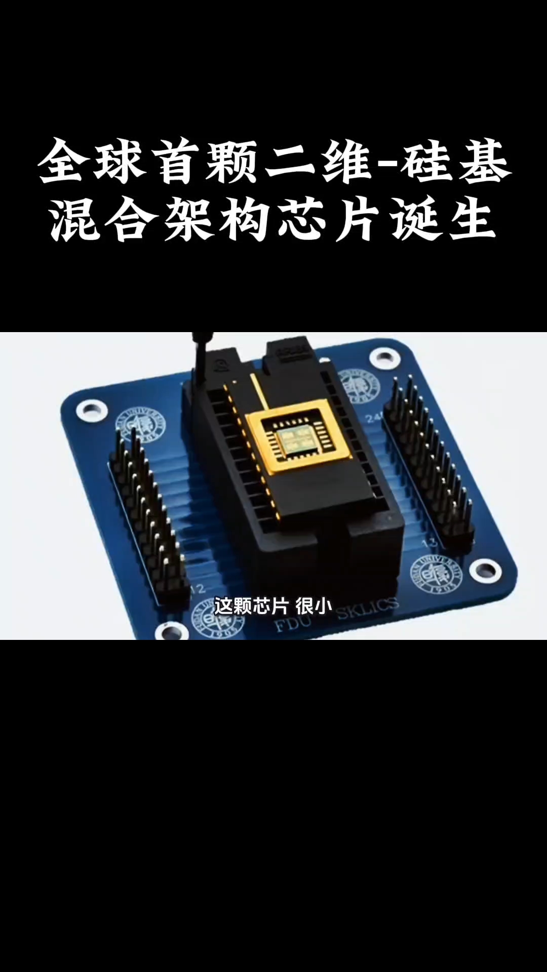 “纤维芯片”在复旦大学研制成功