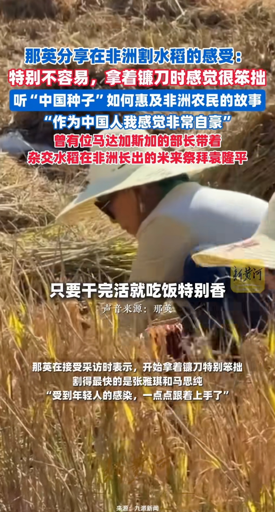 科学家发现水稻基因可“合力”抗旱