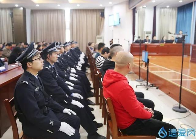 湖南一年审结1147件生态环境犯罪案 判赔生态修复金逾亿元