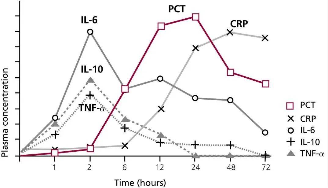 九强生物(300406.SZ)：预计2025年净利润同比下降59.07%-66.21%