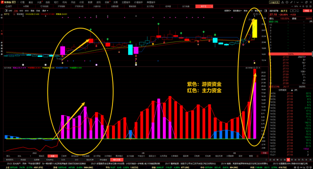 2月9日金富科技涨停：包装印刷概念热股