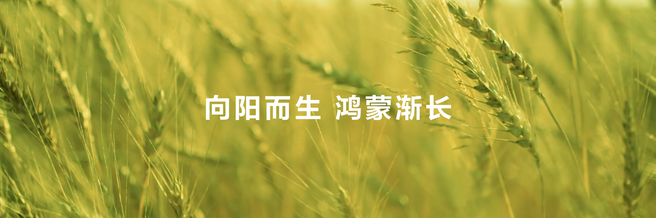 百融云-W(06608.HK)2月11日回购166.00万股，耗资1890.51万港元
