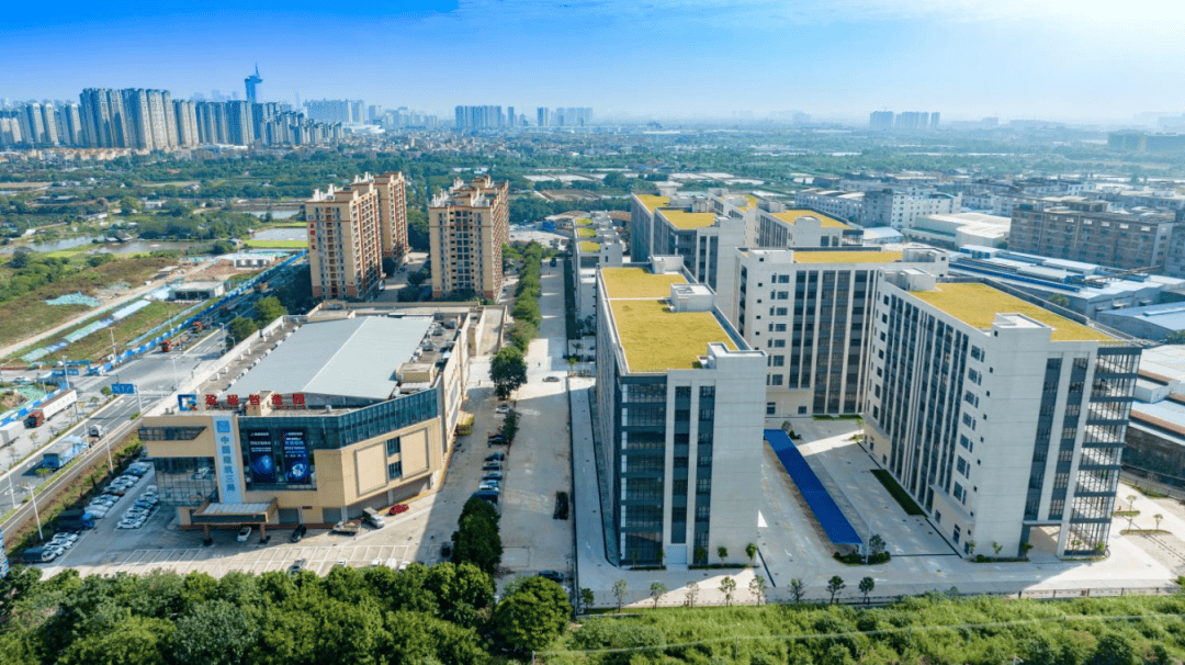 华润信托董事长胡昊：打造大湾区财富管理新标杆