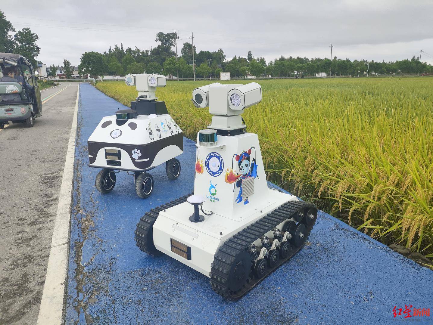 “成都造”新锐装备上岗 天府广场核心区域启用智能轮式机器人