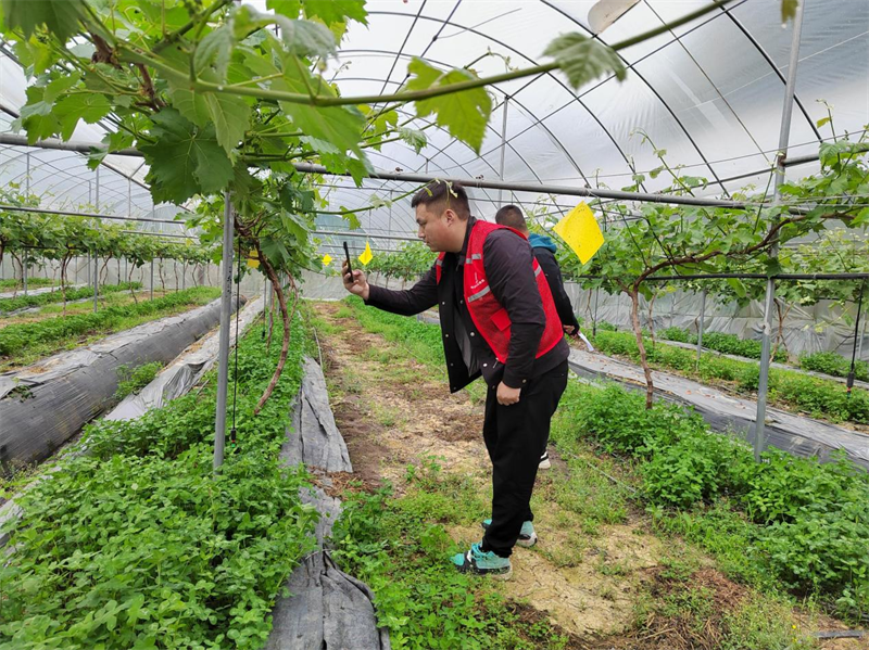 人保服务,人保有温度_2026能源产业:结构性矛盾凸显,绿色转型加速