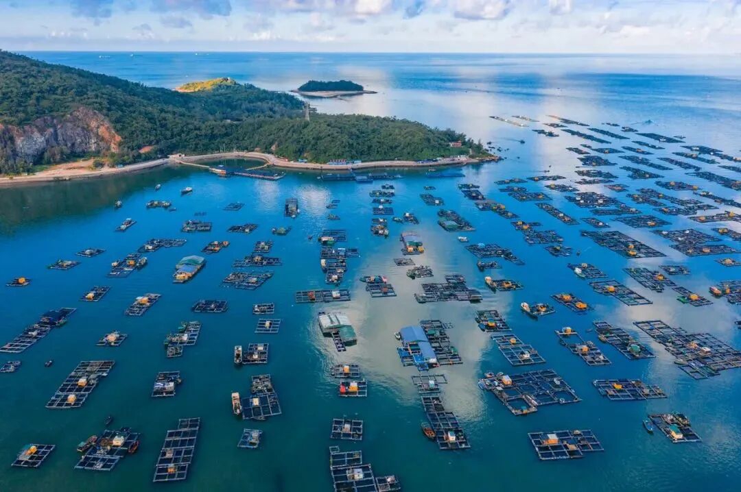 春节假期以来珠江水运和琼州海峡客滚运输总体畅通有序