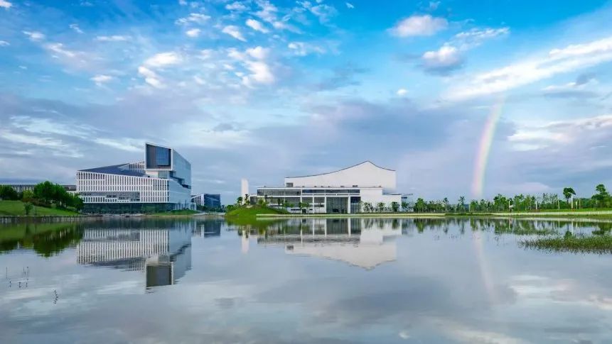 【职场把脉】从实求知 基层大有可为