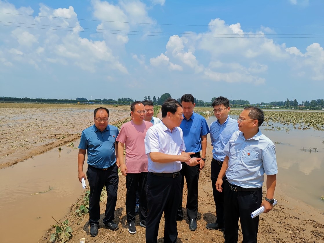 2026-2030年山茶油市场投资前景与供需格局深度分析_人保服务,人保财险 