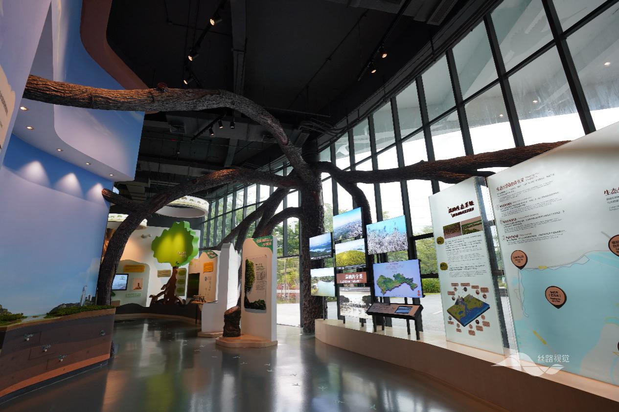 丝路视觉董事王军平减持1.19万股,减持金额24.45万元