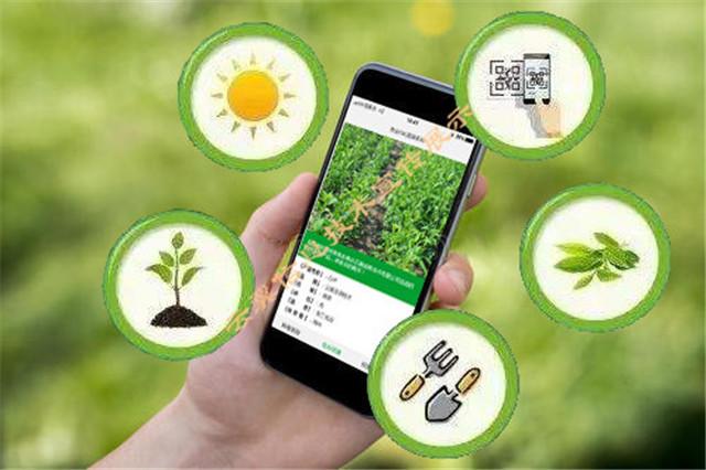 智慧农业如何跨越“技术热”与“落地冷”的鸿沟?_人保服务,人保有温度