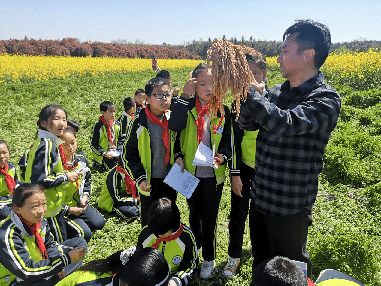 (全国两会)一粒种子3155万元?代表说“种子有价人才无价”