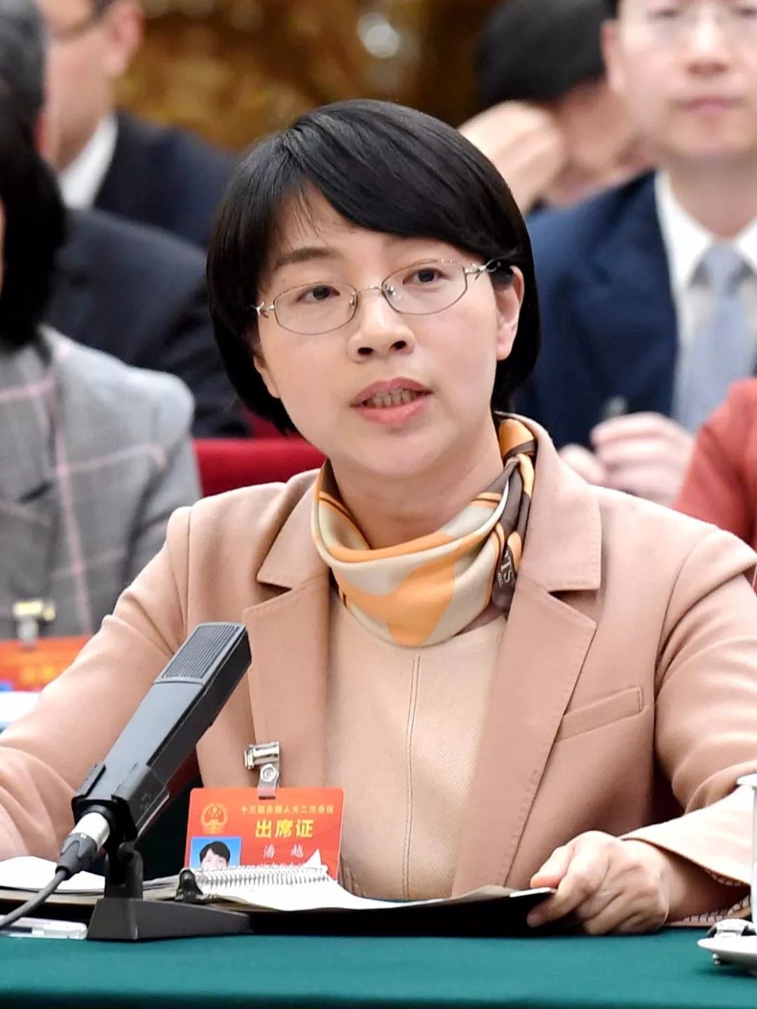 潘越代表——有序化债稳预期