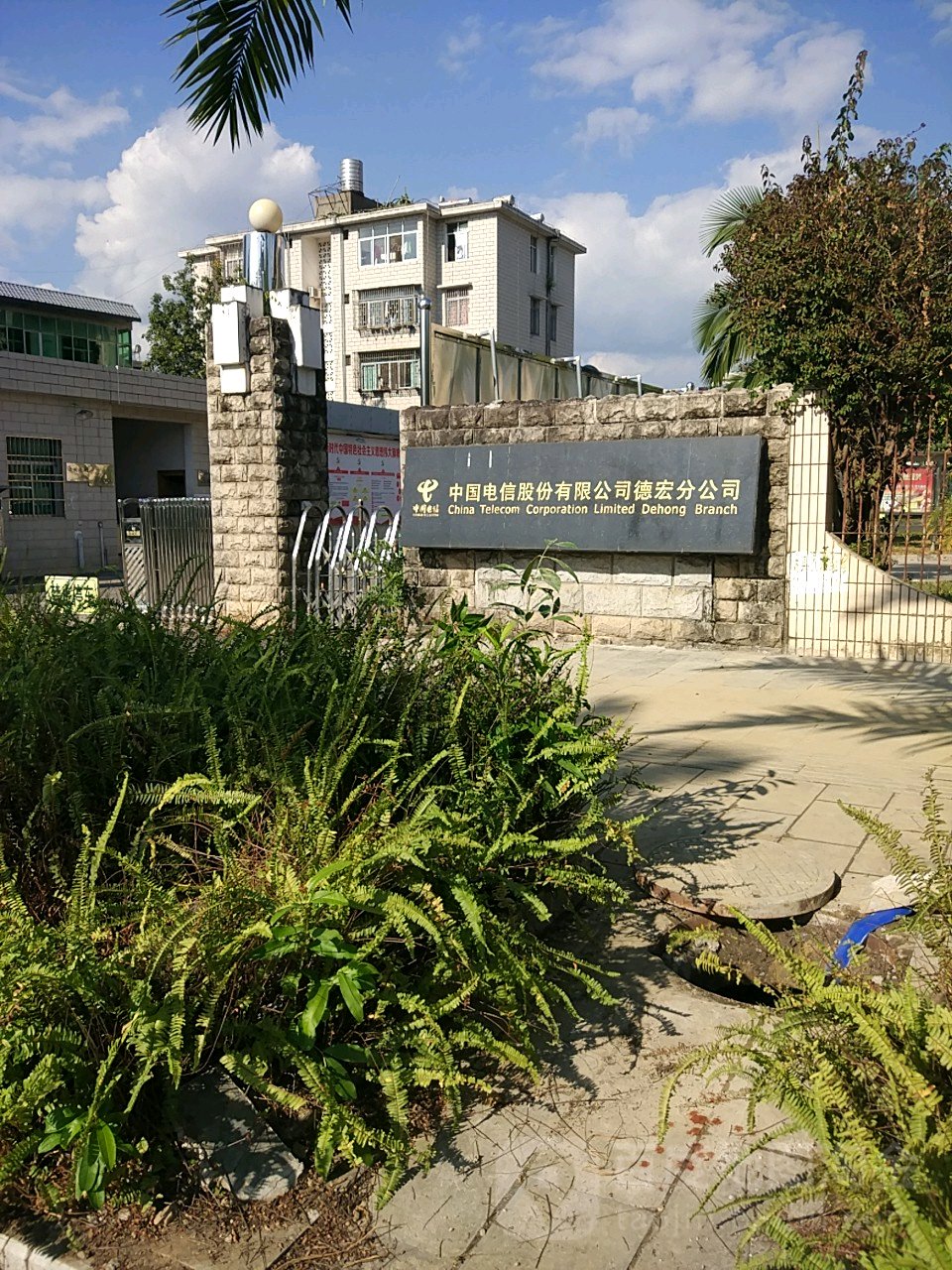 德宏股份：公司电子真空泵产品目前产销情况良好