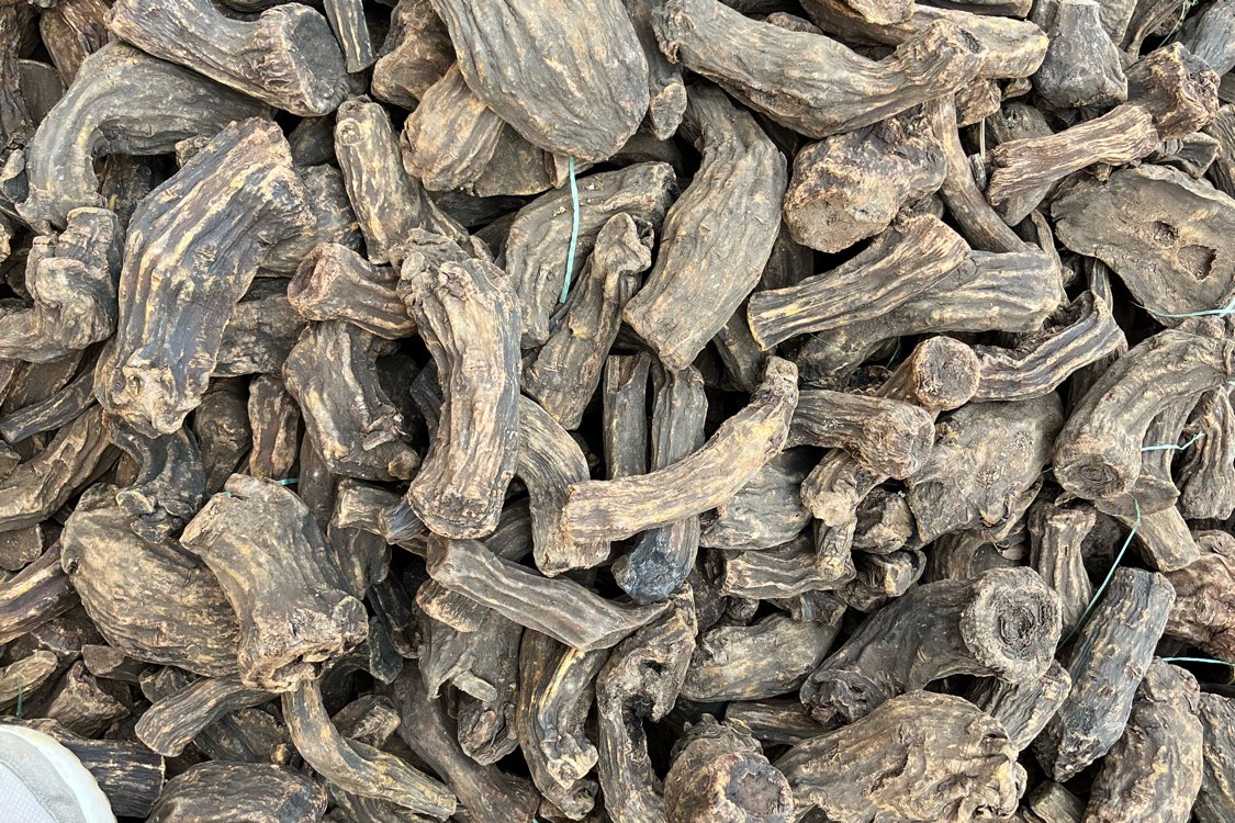 甘肃陇南中药材前两月出口同比增长近九成