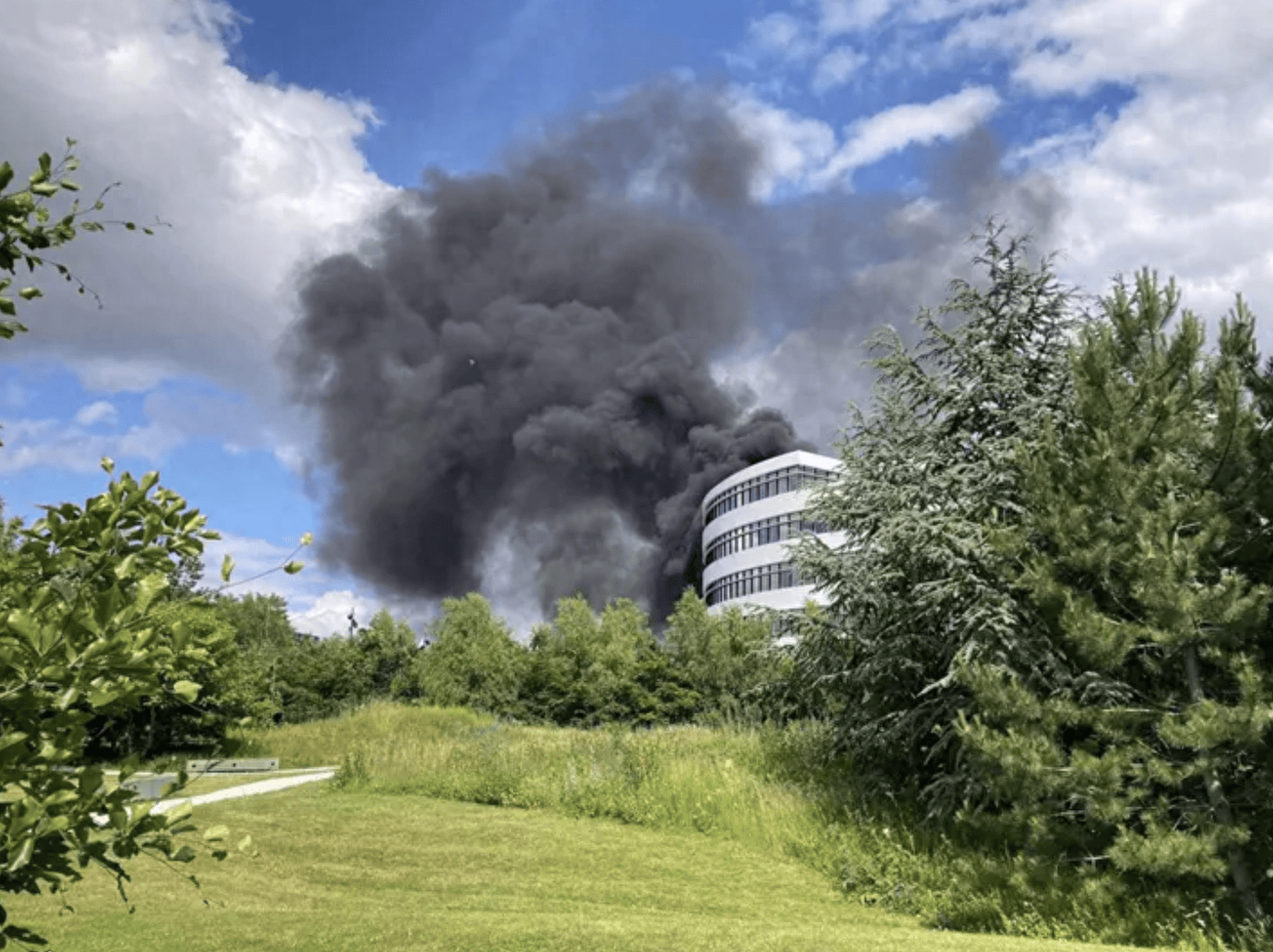 中国贸促会副会长刘健男会见丹麦诺和诺德公司全球执行副总裁林意明