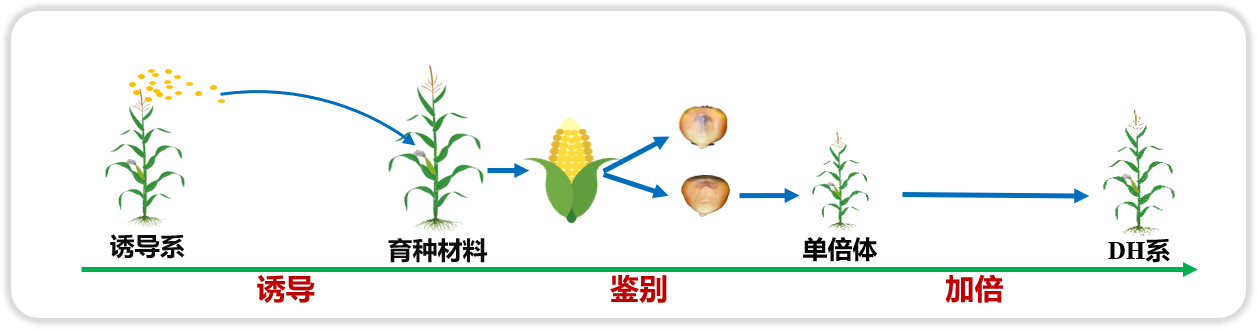 中国科学院院士、清华大学教授欧阳明高:新能源汽车产业要重视资产价值