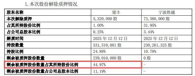 双象股份：子公司拟约25亿元投建年产35万吨特种材料项目