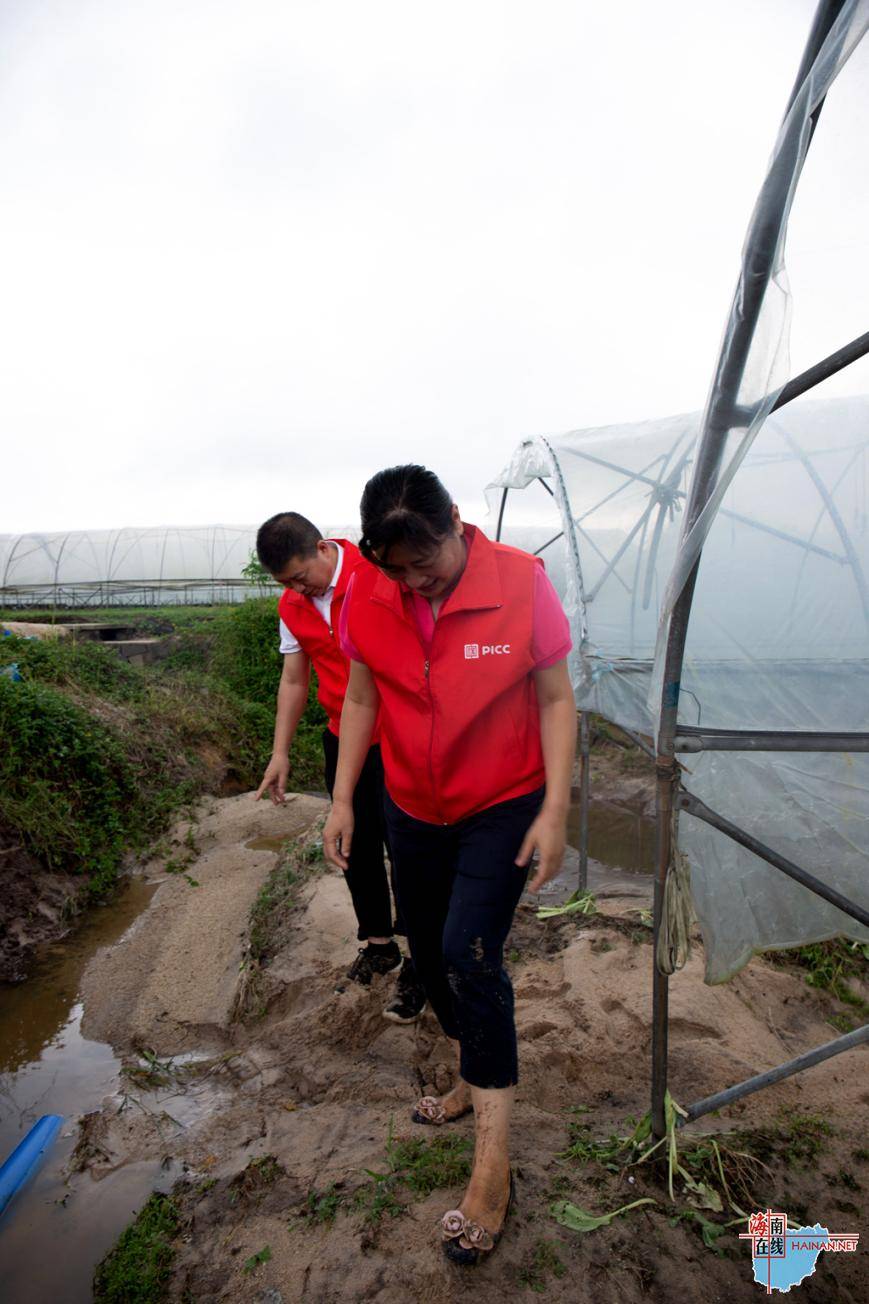 牛肉干行业现状与发展趋势分析(2026年)_拥有“如意行”驾乘险，出行更顺畅！,人保财险 