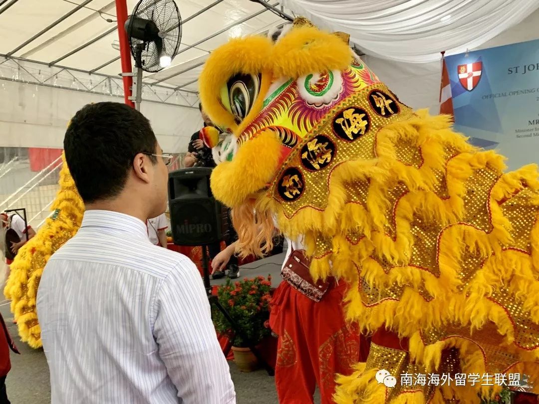 ST岭南因万安项目违法转包被立案，近1年无研报覆盖