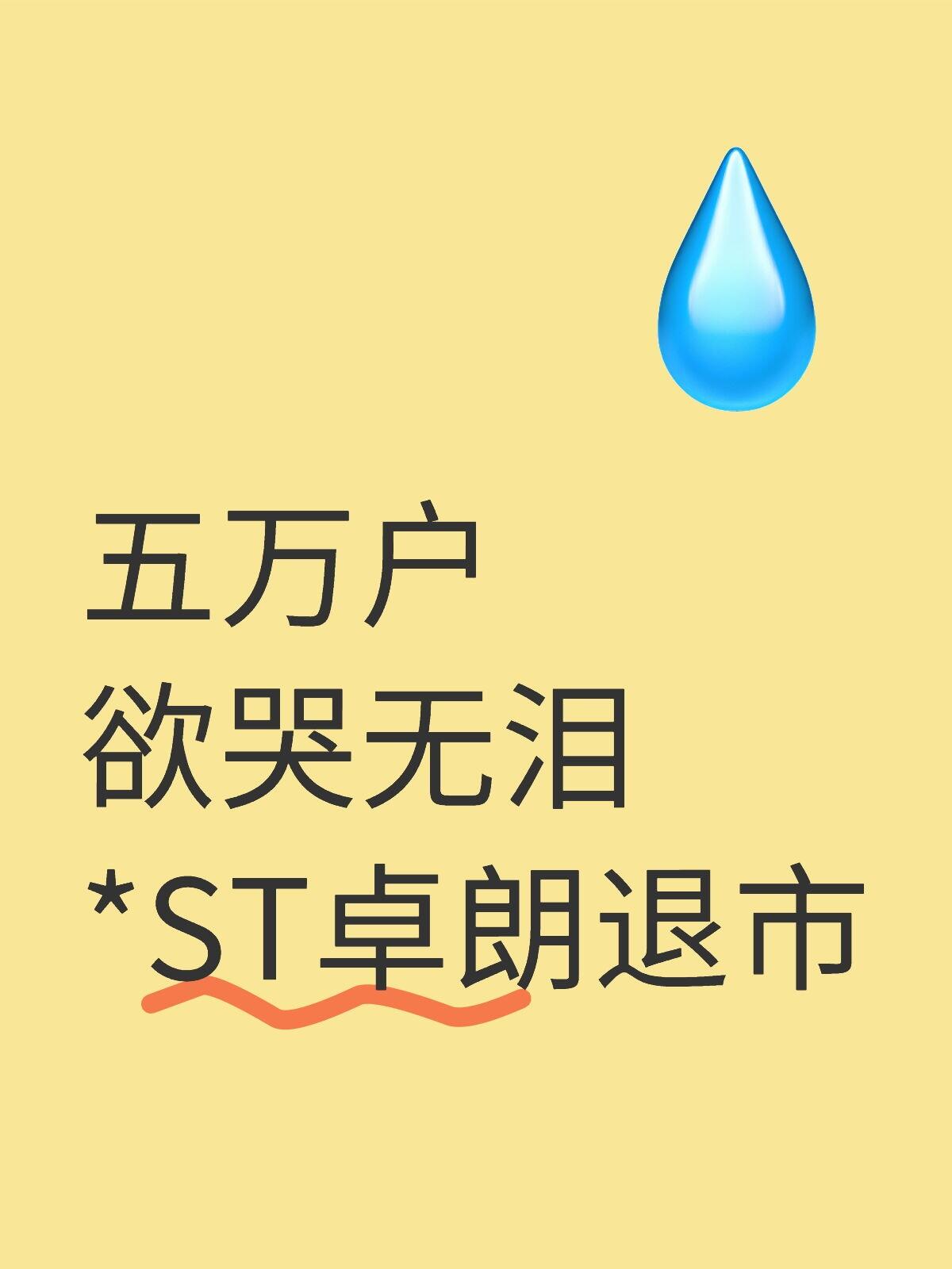 网达软件：公司股票将于2026年4月30日停牌一天，于2026年5月6日起实施退市风险警示
