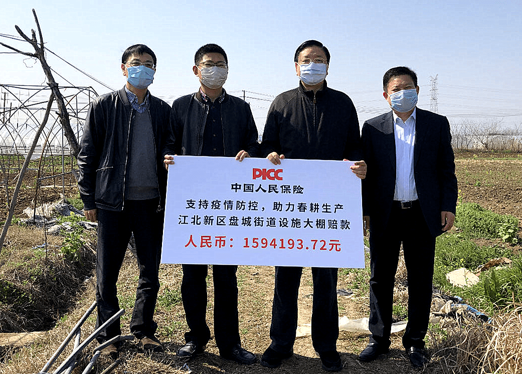 2026中国洗衣皂行业：当传统日化遇上时代浪潮_人保伴您前行,人保财险 
