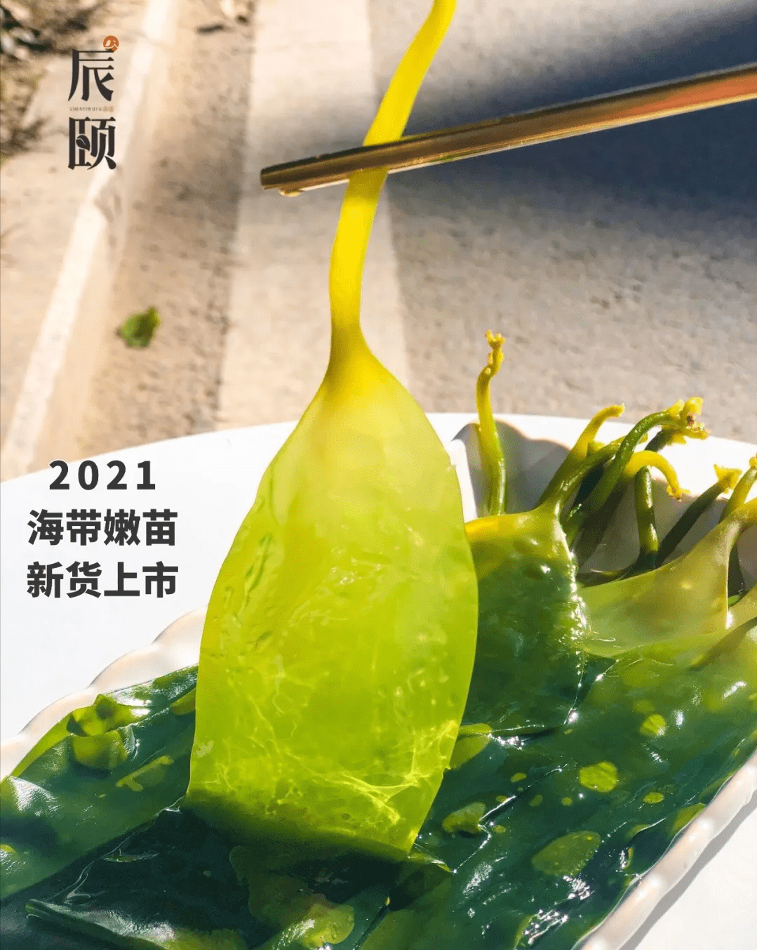 东方海洋获得发明专利授权：“一种海带性别特异性分子标记及其应用”